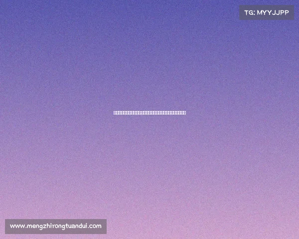 聚焦技术官员职能与影响力在企业数字化转型中的关键作用与挑战